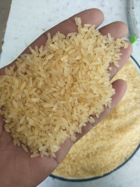 Parboiled Rice Sortex