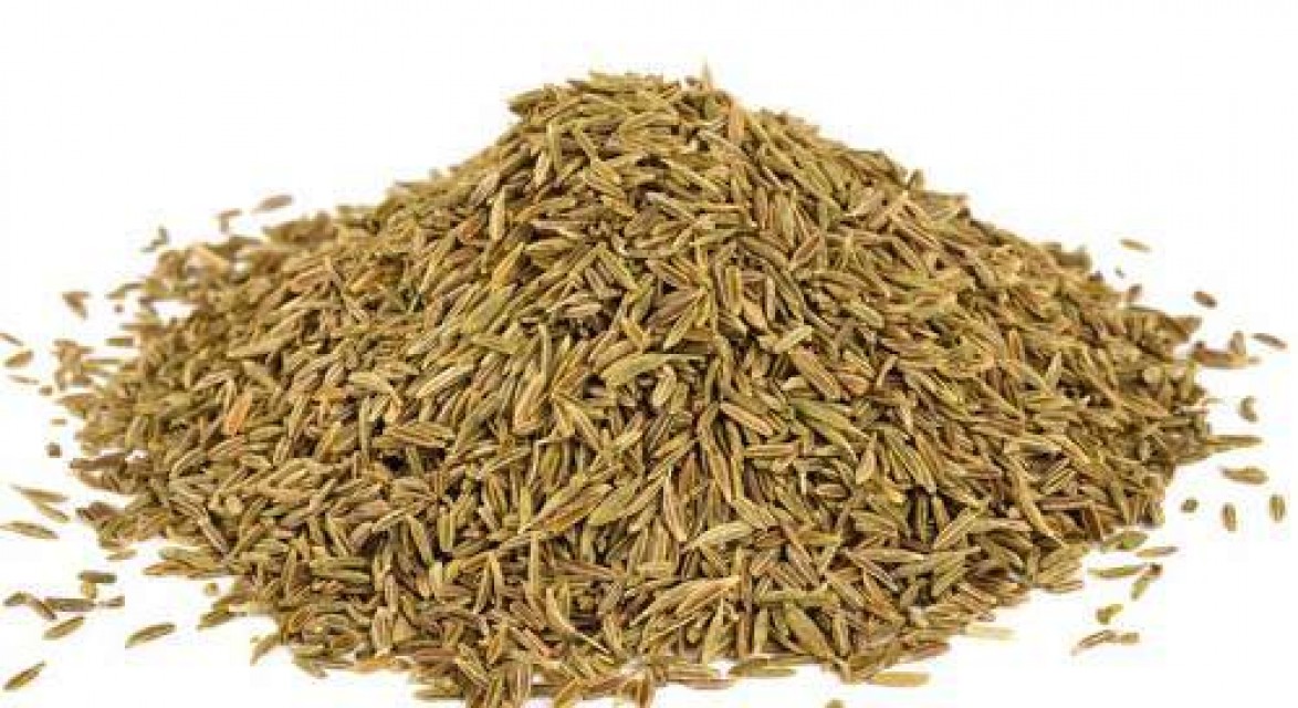 Quality Green Cumin Seeds - FLORA