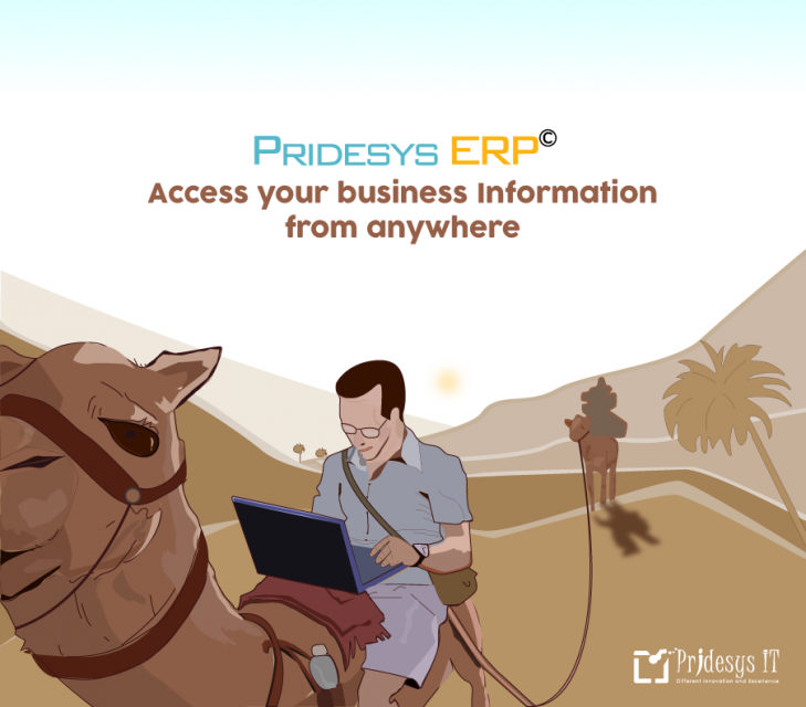 Pridesys ERP: Your Comprehensive Business Solution