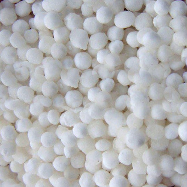 Sago seed- Tapioca Pearls