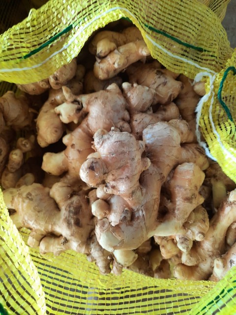 Golden Yellow Fresh Ginger - Thailand's Finest Export