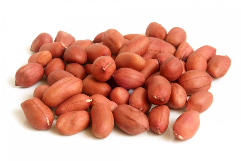 Peanut Bold and Peanut Java: Wholesale Agro Products from India