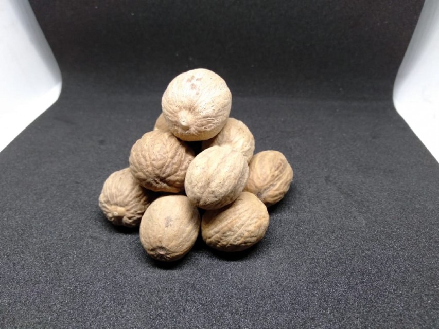 Nutmeg - Premium Quality Agro & Agriculture Product from Indonesia