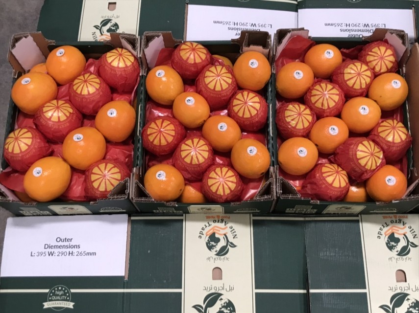 Egyptian Citrus Orange Limon - Wholesale Exporter Rates