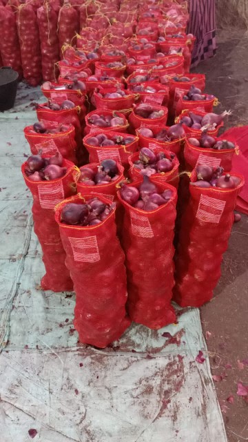 Egyptian Red Onions - Wholesale Prices & Quality