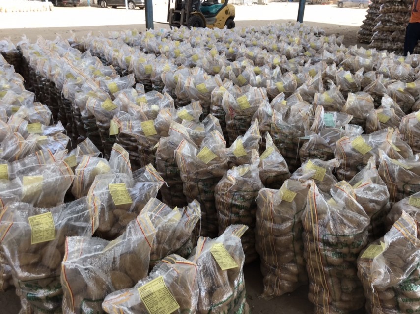 Egyptian Potatoes - Premium Quality Wholesale Supplier