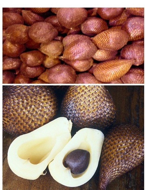 Indonesian Snake Fruit - Best B2B Prices, Direct Sourcing