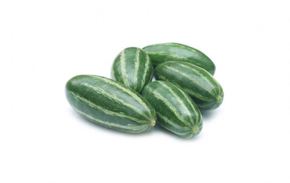 Premium Pointed Gourd: High-Quality Potol from Bangladesh