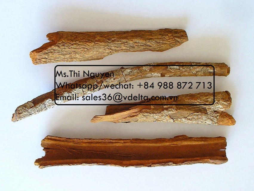 Litsea Glutinosa: VDELTA Joss Powder for Fragrance Sticks and Coils