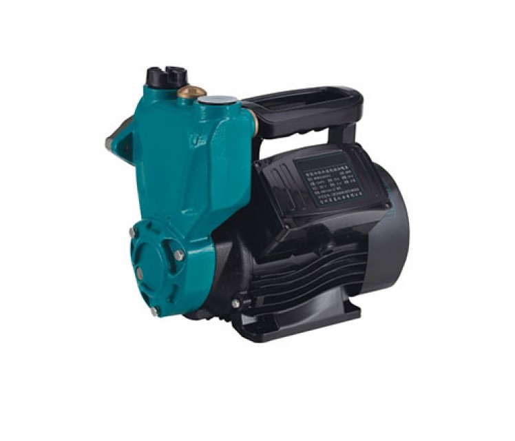Self-Priming Peripheral Pumps 001 - Reliable Water Transfer Solutions
