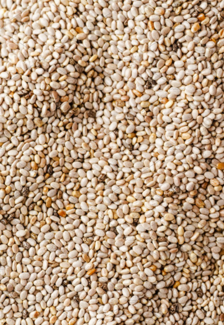 Premium Chia Seeds - Wholesale Rates for Agro & Agriculture