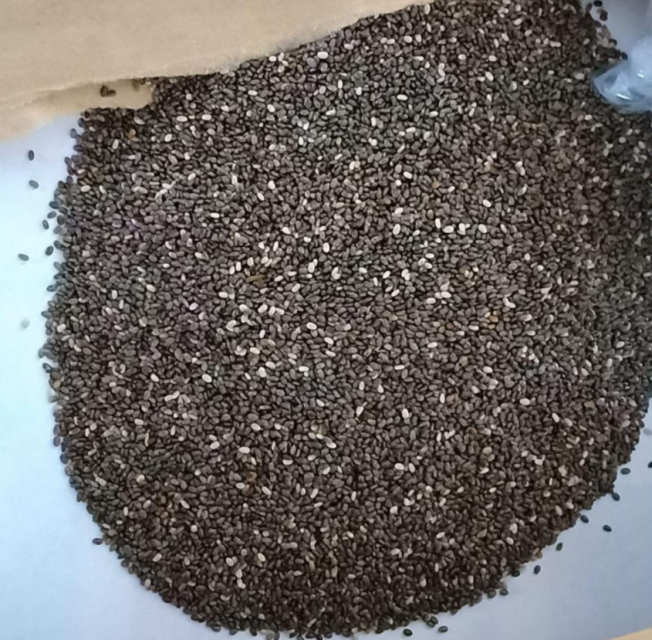 Premium Chia Seeds - Wholesale Rates for Agro & Agriculture