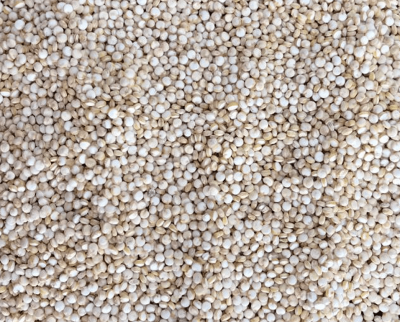 Premium Quinoa Seeds - High-Quality Supplier