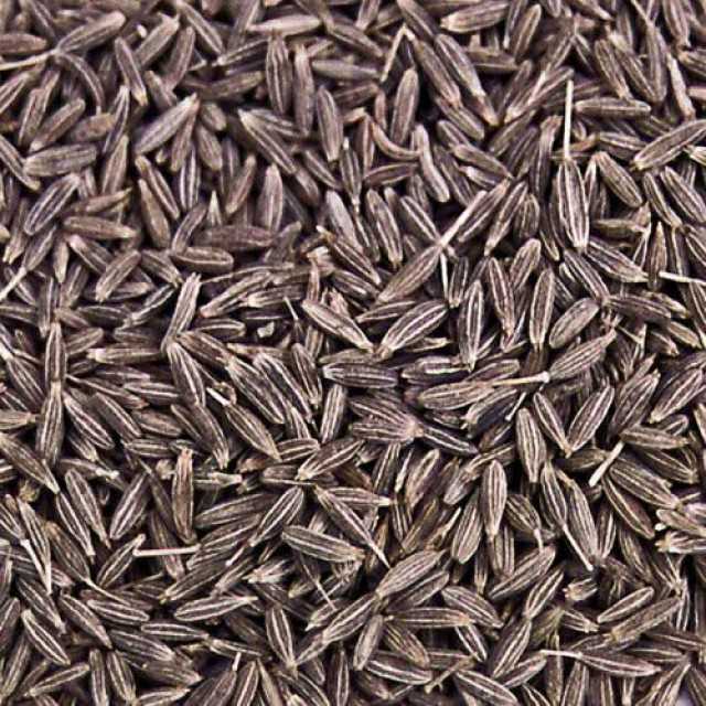 Cumin Seeds - Premium Quality Spice for Exquisite Culinary Delights