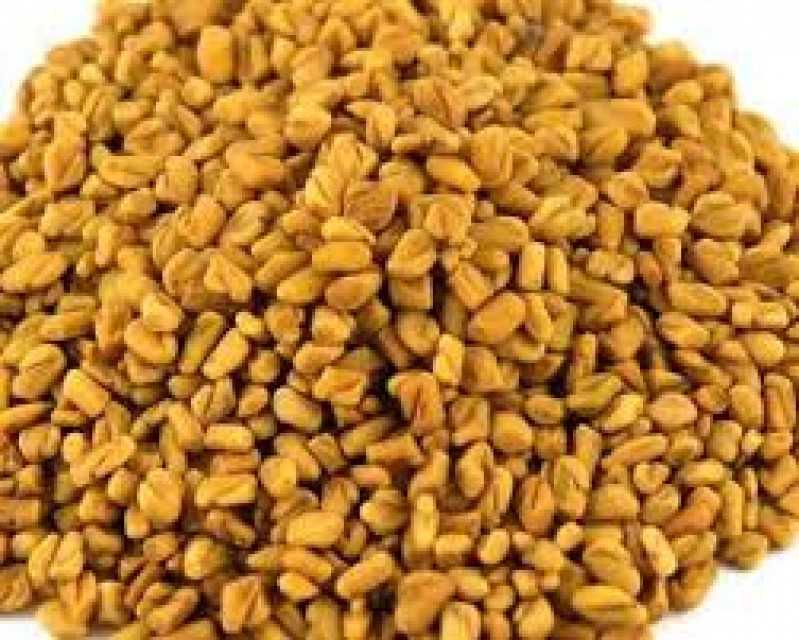 Fenugreek seeds - Premium Quality from Ind
