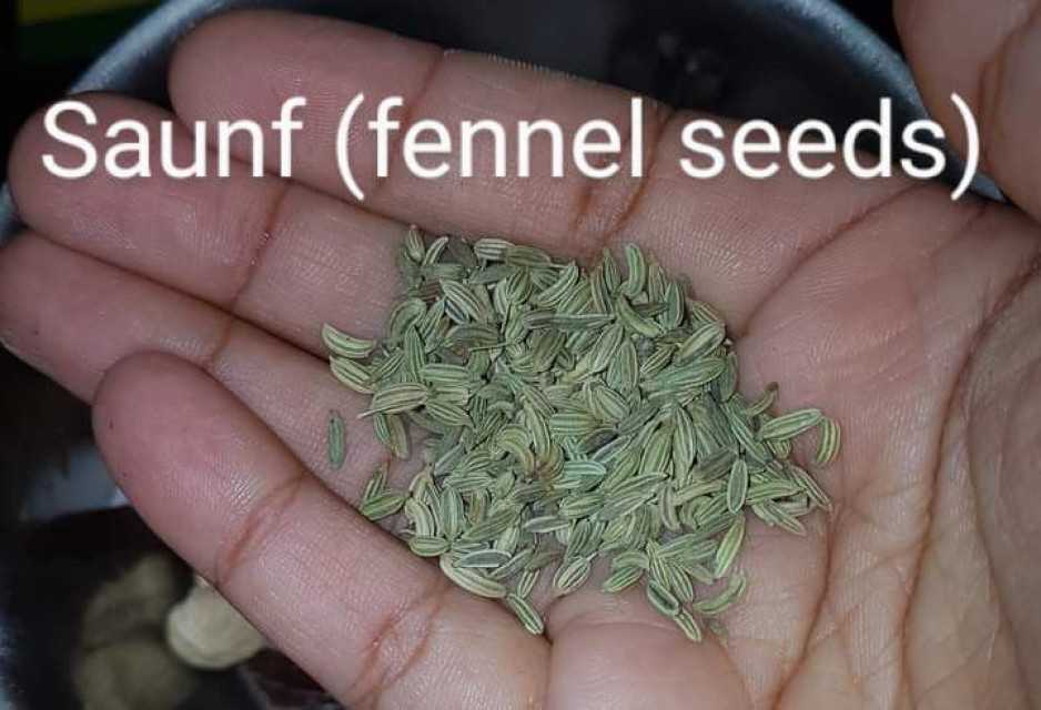 Fennel Seeds - Quality Spice From India