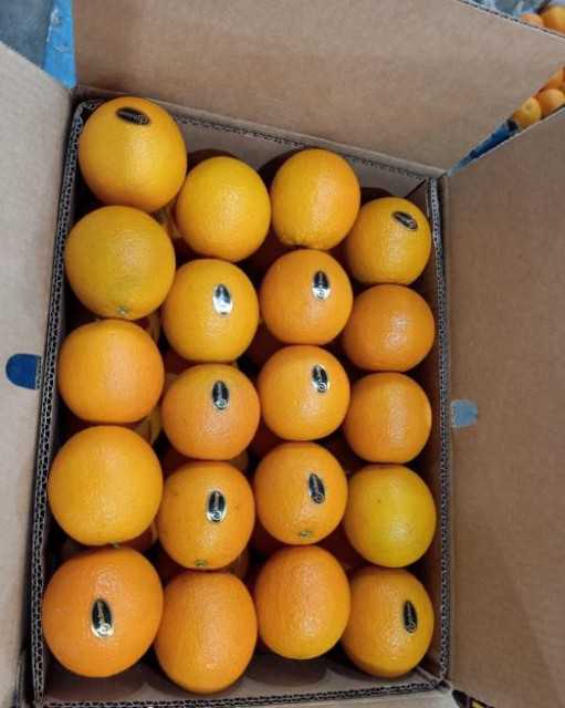 Valencia orange