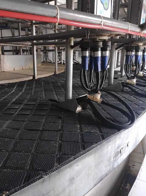 Comfortable Rubber Cow Mat for Dairy Farms - New Rising Rubber
