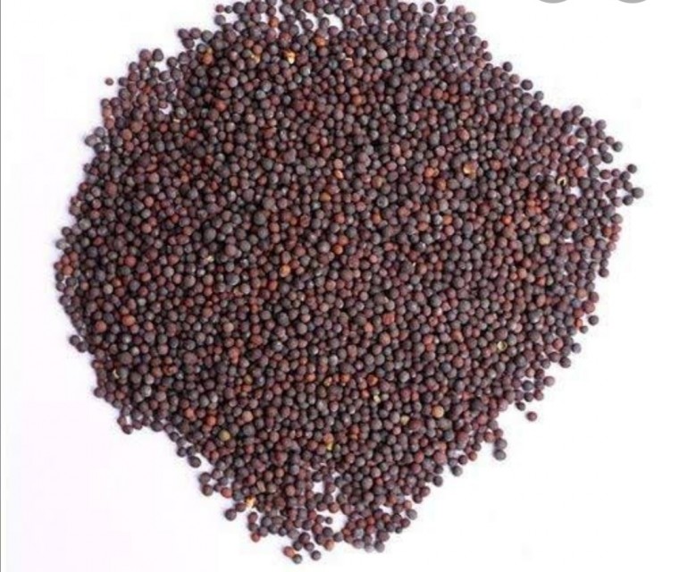 Mustard Seed (দেশি সরিষার দানা)
