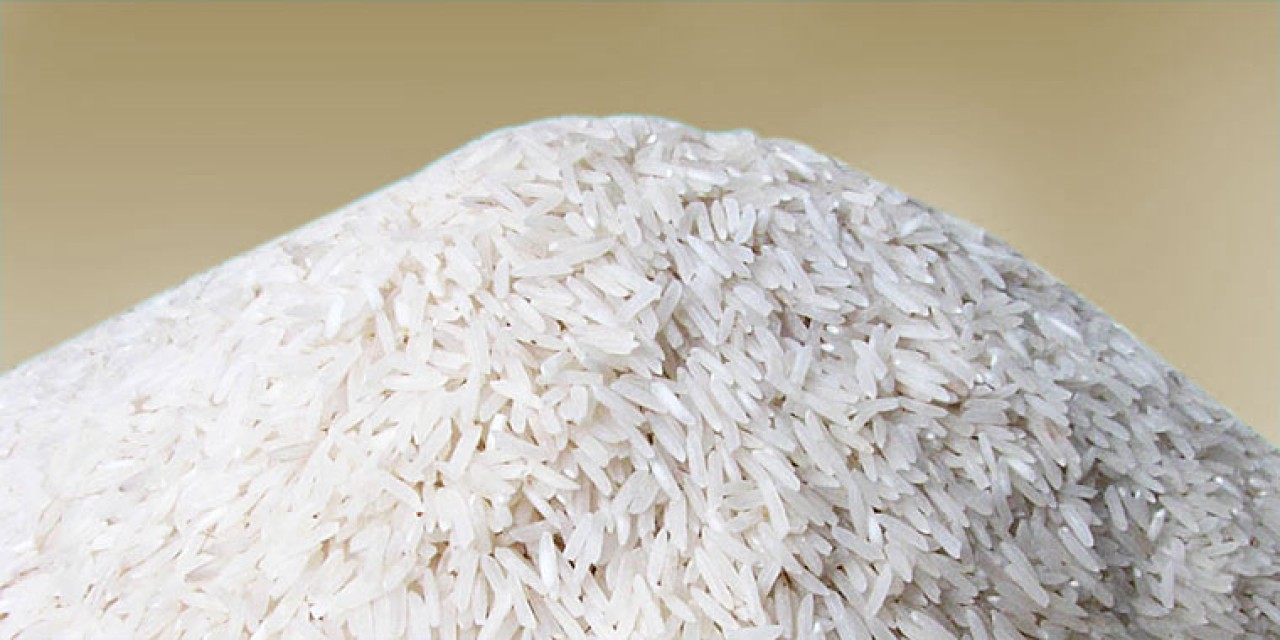 Premium Indian Rice, Wheat, Sugar, and More - High-Quality Agro Products