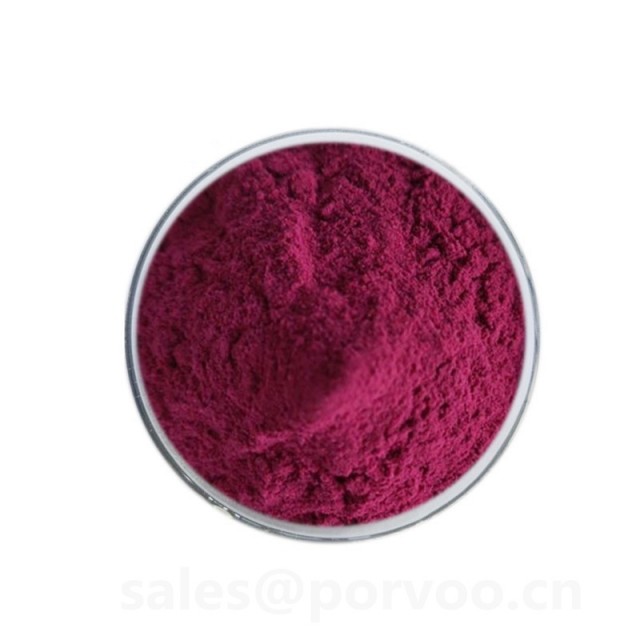 Best Price Anthocyanidins, Black Elderberry Extract Powder