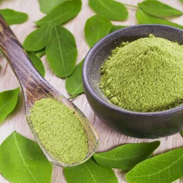 Premium Organic Moringa Leaves Powder from India
