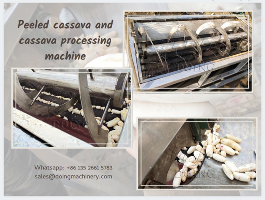 Garri processing machine cassava processing machine