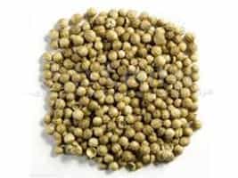 Premium Iranian Coriander Seeds - Wholesale Supplier
