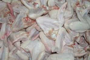 Good Quality Frozen Whole Chicken Meat