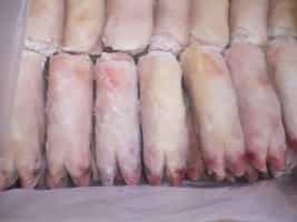 Pork Front Feet and Frozen Pork Hind Feet