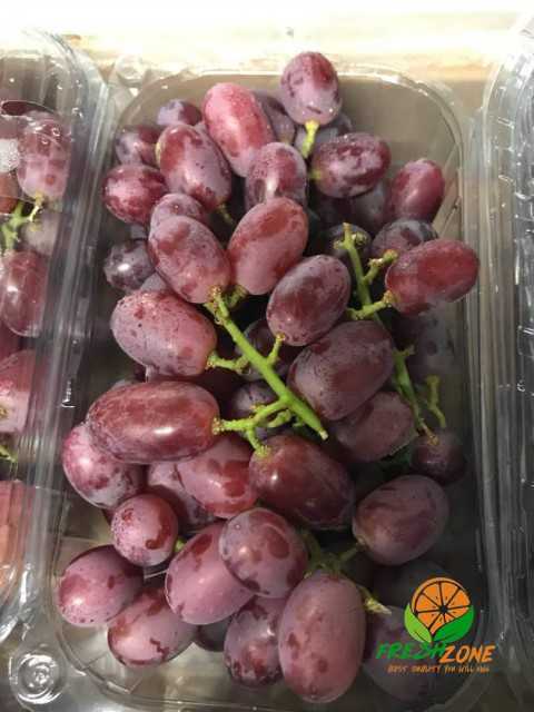 Premium Egyptian Grapes - Exquisite Flavors from Fresh Zone