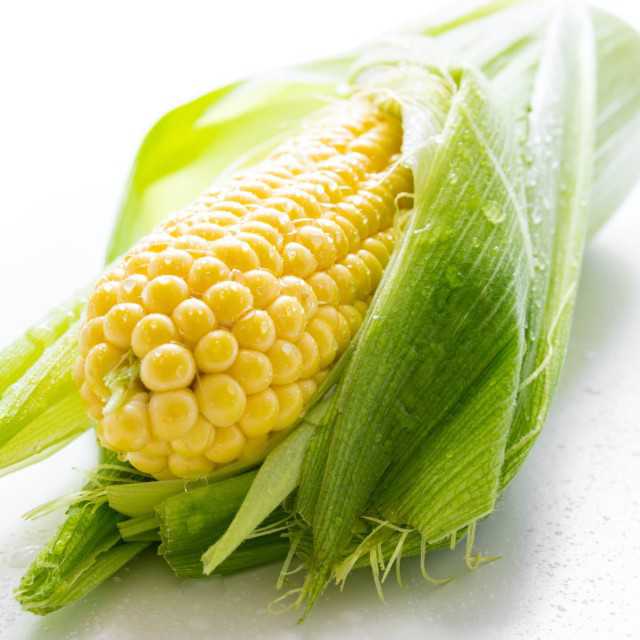 Premium Yellow Corn for Sale: High Quality