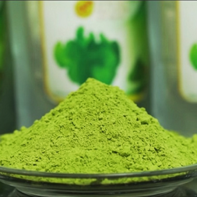 LETTUCE POWDER WITH HIGH QUALITY FROM VIETNAM