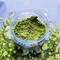CELERY POWDER WITH HIGH QUALITY FROM VIETNAM