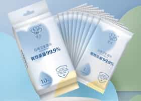 Disinfecting Wet Wipes (1 PC)