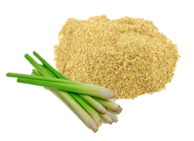 Premium Lemongrass Powder from Vietnam - ISO Certified