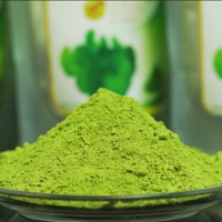 Lettuce Powder - Premium Supply from Vietnam