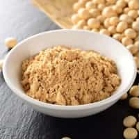 SPICES SOYBEAN SPOUT POWDER  FROM VIETNAM ATL GLOBAL