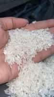 Swarna Raw rice 5 % Broken