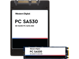Western digital SDASB8Y 256G Solid State Drive
