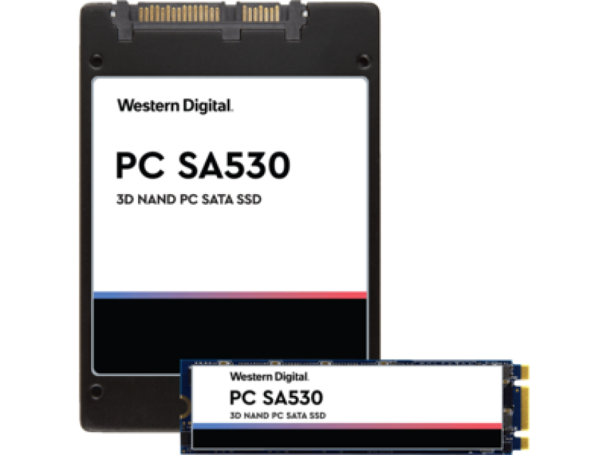Western digital SDASB8Y 256G Solid State Drive