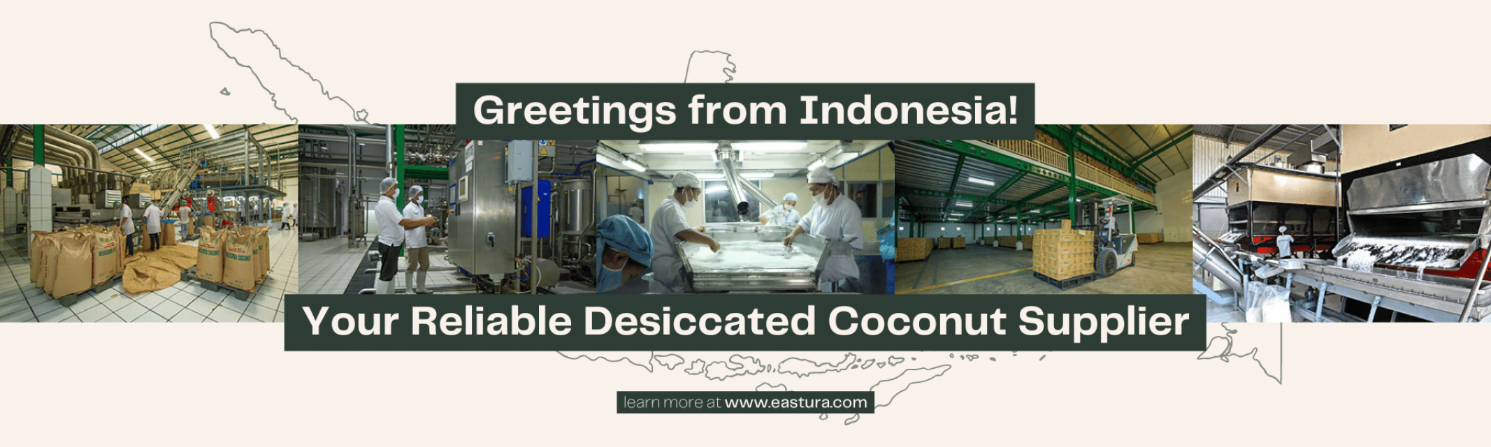 Desiccated Coconut from Indonesia - High Fat, Reduced Fat & Low Fat
