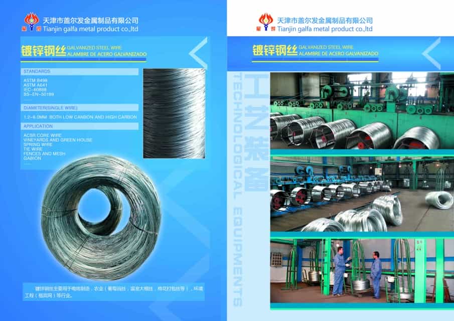Galvanized Steel Wire - High-Quality Supplier, China