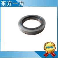 Alve seals and o-rings for rubber bladder LNXQ-AB-80/10 FY