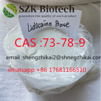 China Manufacture Supply Top USP/GMP/Bp CAS 73-78-9 Lidocaine