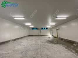 Cold Room Cold Storage for Fish/Meat/Chicken
