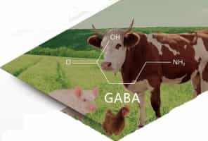 Gamma-aminobutyric acid (GABA)