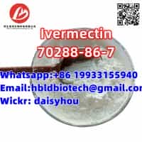 Ivermectin Powder CAS 70288-86-7 with Antiparasitic Drugs