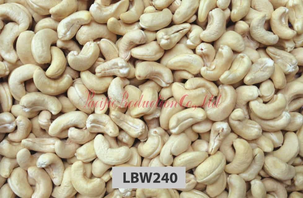 Vietnam Cashew Nut LBW240