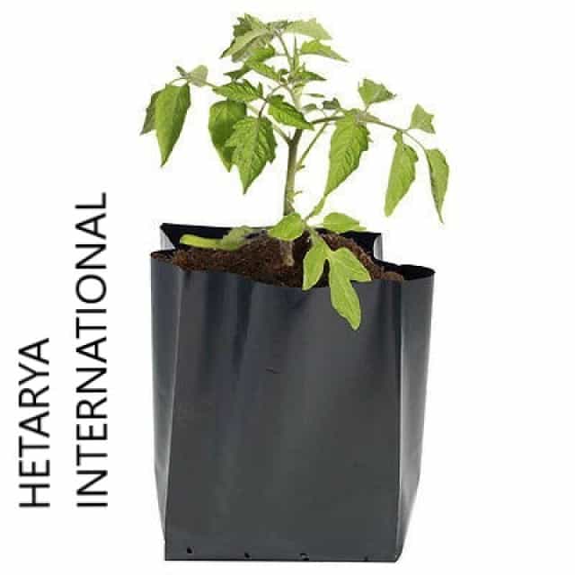 Nursery Bags - High-Quality Plant Bags for Healthy Growth
